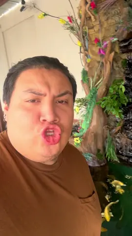 Quien lo quiere #fypシ゚viral #fy #viral #fypp 