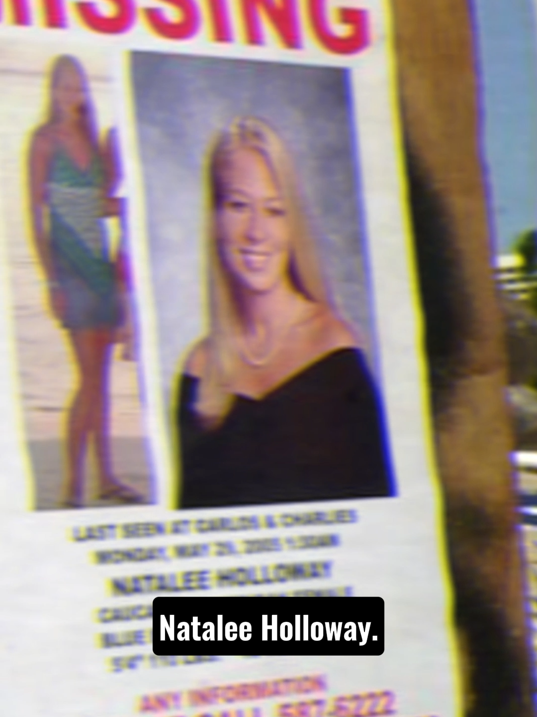 In May 2005, Natalee Holloway and her high school classmates took a trip to Aruba, but when it came time to board their flight back home, she was nowhere to be found. Her friends worried that she had overslept, but her mother's fears were much, much worse.   Unfortunately, the truth about what happened to Natalee Holloway wouldn't be revealed for nearly 20 years — and it was every bit as horrific as her mother had feared. #nataleeholloway #nataleehollowaydisappearance #unsolvedmysteries #murder #truecrime #history #historyuncovered