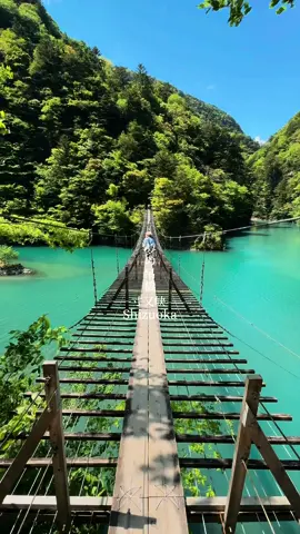 君は耐えらるかな⁇セーブ推奨🌈 #夢の吊橋 #寸又峡 #日本 