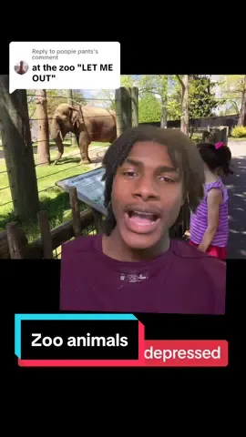 Replying to @poopie pants zoo animals are going through it #zoo #zooanimals 