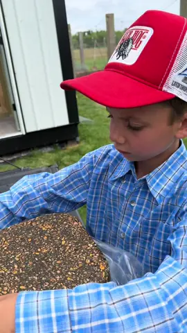 Jackson is such a great helper  everyday  he helped unload chickfeed from #kalmbachfeeds a local feed store to get feed the growing chicks . #justajacksonthing #jacksonfarmer #minifarm #chicks #johndeere @John Deere 