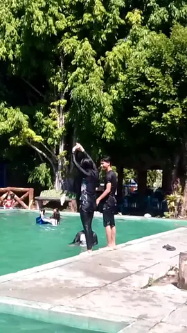 full gear dive🥰 #fyp #tarub 