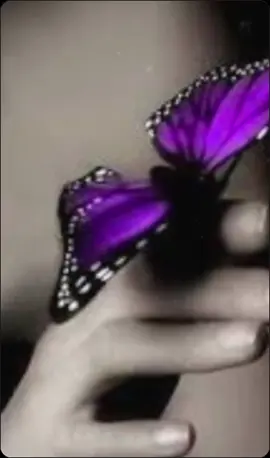 make you feel my love