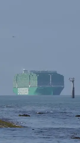 Full Ever Ace 🟩📦 #ship #shipping #vessel #spotting #green 