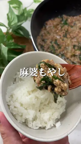 『タレは作れる！麻婆もやし』 #15分レシピ #時短レシピ #ズボラレシピ #節約レシピ #ひき肉レシピ #おおざら料理 #麻婆 #男子飯 