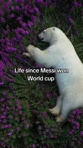 real. #messi #barcelona #football #Soccer #foryou #ucl #fyp #fypシ゚viral #argentina 