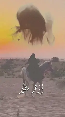 👏👏👏
