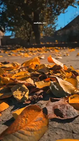 #CapCut #sadvibes🥀 #beautifulvibes😍 #aestheticvibess🦋 #aestheticeditz #viralontiktok #foryoupage #lovethisvibes❤️🥰 #goodvibes💕 #trendingsong 