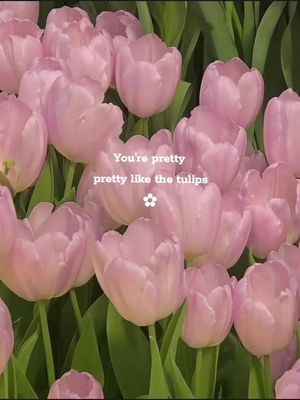 An appreciation post for you🌷!!! . #fyp #tulips #pretty #ily #foryou #flowers #quotes