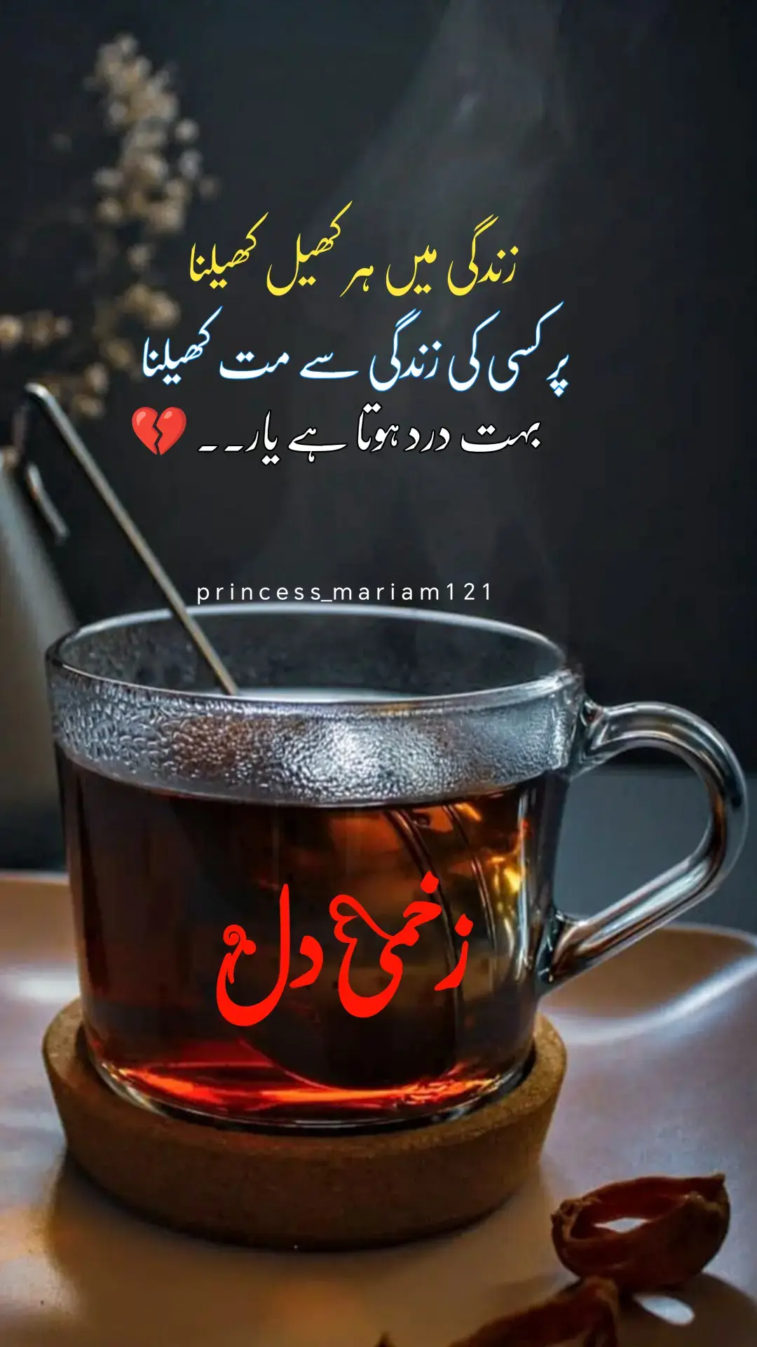 زندگی میں ہر کھیل کھیلنا💔💯#sadpoetry #foryou #fyp #tiktok #illu #unfrezzmyaccount #❤️❤️❤️ #tiktokteamunfreezmyacount😥🙏 