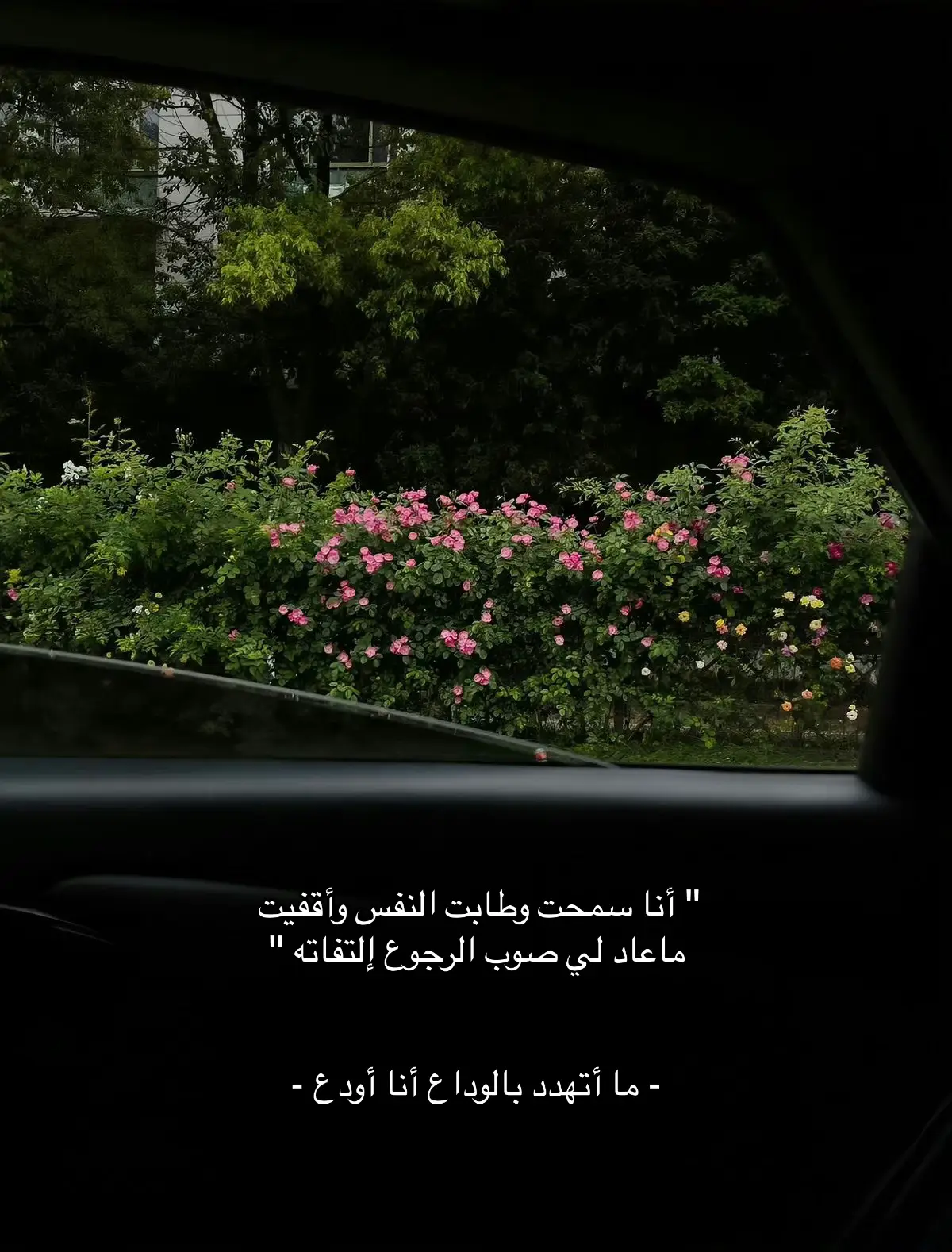 #tiktok #pinterest #fypシ #اقتباسات 