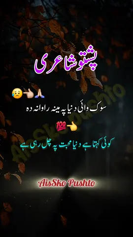 Dunya pa matlab rawana da | pashto deep line #viral #tiktok #urdu #pashto #shorts #foryou #foryoupage #fyp #poetry 
