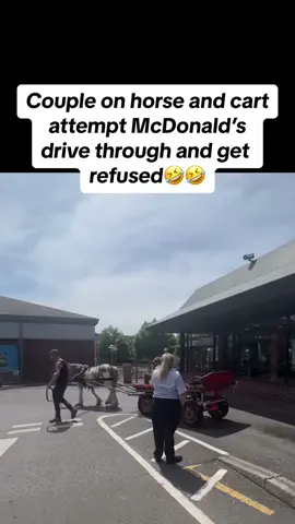 I still cant believe what i just saw😭 they only wanted a big mac meal😔 #couplegoals #horse #drivethru #drivethruchallenge #adorable #funny #refused #viral #strange #bigmac #witness #caught #camera #fyp #foryou #hilariousvideos #cute #animal #animalsoftiktok 
