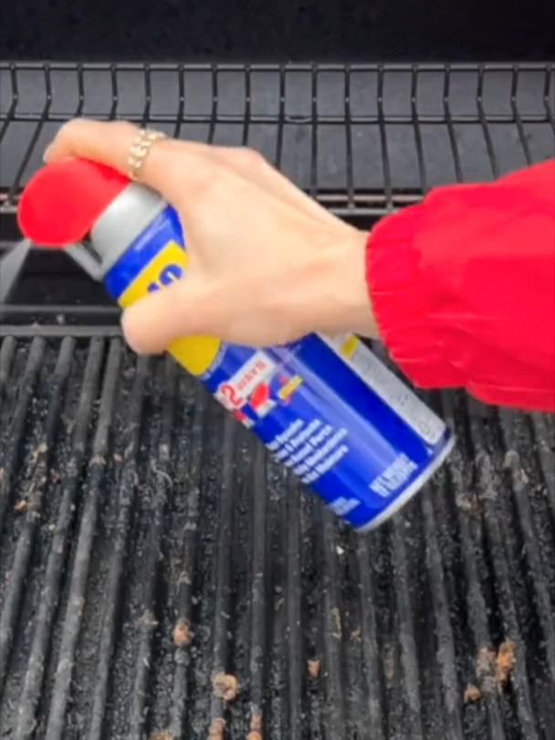 Spray WD40 on your grill... 😱 @sonatahome #DIY #Hack #LifeHack #Summer #WD40