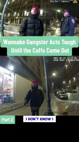 Wannabe Gangster Acts Tough Until the Cuffs Come Out