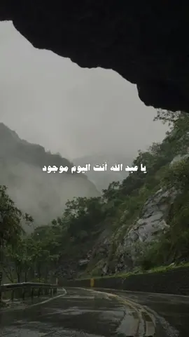 #الشيخ #مبارك_السليس #مواساة_ربانية #اطمئن #اجر #توبة #دعاء #دينية #اسلاميات 