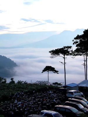 Wiir,. Pesona di Minggu pagi 📍Bukit Embun Lampung Barat #lampung #lampungtiktok #lampungpride #lampungbarat #bukitembun tembun