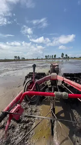 Srittt boloo🤪 #traktor#petanimuda#sawahpadi#petani#fyp 
