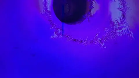 Pt2. #turnt #hype #music #musictok #lit #trending #trendy #upnext #itsmytime #cincinnati #cincy #ohio #world #musician #fyp #fypage #fypシ #djs #dj #tiktok #viral #viralvideo #viraltiktok #viral_video #viral