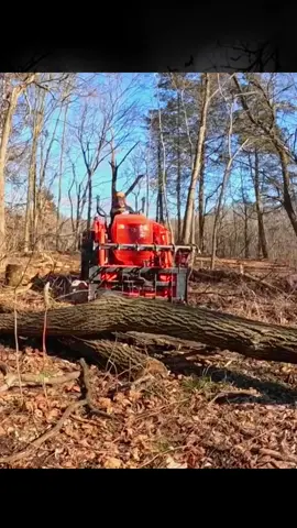 GRANDPA Had UNEXPECTED Visitors Hiding in His Overgrown Property Until We Did This. #🥶 #lawncare #cleaning #mowing #satisfyingvideo #asmrsounds #overgrown 