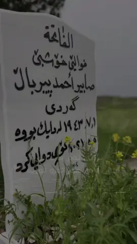 #CapCut بوو بەسێ ساڵ بابە😔🥲دوای تۆهەموشتێك گۆڕا دوای تۆكەمتیارەكانی چواردەورزەفەریان پێ بردم#باوك واتا ژیان🥺
