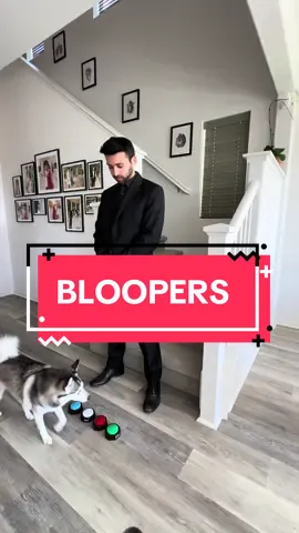 It’s time for BLOOPERS! 😂😂😂 #dogs #funnydog #behindthescenes #bloopers #fyp 