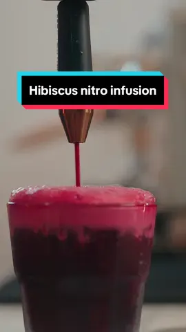 Easy nitro infused 🌺 hibiscus . . Since summer is pretty near . This is a orettt refreshing drink and keeps your Gut healthy . . Add four tea bags of hibiscus tea bags to 400 ml of water . . Temp should be 90 degrees . Steep for four to five mins . . Remove bags . Leave it in the fridge to kewl down . . Add 100 gms of ice to syphon. . Use a n2 cartridge to infuse , u can use n2o also but they tend to be a bit to watery . . Add vanilla syrup or simple syrup 20 ml if you prefer to sweeten it up a bit . . Serve and enjoy ☺️. . Share and save . Serve and enjoy ☺️. #coffee #coffeetiktok #nitrocoffee #icedcoffee #hibiscus #coffeebrewing #icedcoffee #coldcoffee #espressotiktok #espressoshot 