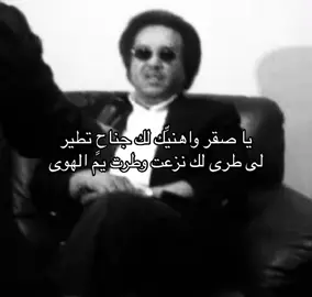 اكيد يقصدني فيها بس اني مااطير 😏😏 #محمد_عبده #صَّقْرُ #explore #viral 