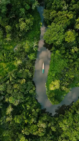 📌 Yarina Eco Lodge, Napo 🇪🇨 #Ecuador 🇪🇨 #napo #tena #Amazonia  #estoesecuador #estotambienesecuador  #allyouneedisecuador #timetoreset #visitecuador  #ecuadortravel #ecuadorturismo #ecuadorturistico  #ecuatoriano   #ecuatorianosporelmundo🇪🇨🌏💫  #ecuatorianos🇪🇨en🔵usa🇺🇲  #guayaquil #quito #manabi  #turismo #world #natgeo #paisajes #adventure  #travel #southamerica #america #europe #asia #africa  #viajero #mochileros  #latinoamerica #tourism #tourist #visit #destination  #fyp #foryou #parati #Viral #tiktok #fypシ 