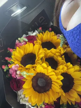 Grirasoles.