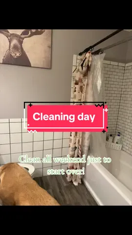 Peep the last clip for a surprise to people that know my couch always has laundry on it. Tried to deep clean but my neck is hurting so bad so this is all i got. #CleanTok #weekend #clean #bathroom #laundry #needsomecurtains 
