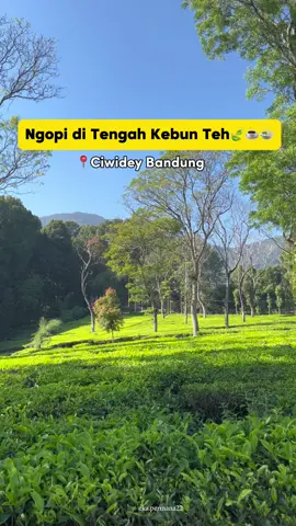 Yuu Tag Pasangan/Bestie Kalian Buat di Ajak Ngopi di Tengah Kebun Teh Ciwidey✨🍃☕️  #cafebandung #ciwidey #gambung @pepeteka.cafe 