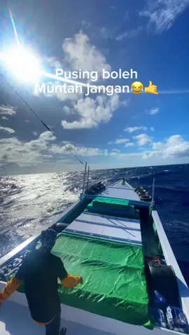 kata kata penongkol#fypシ #penongkolbugissinjai #