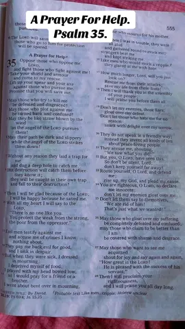 Psalm 35. Oppose Those Who Oppose Me Lord And Fight Those Who Fight Against Me🙏 #psalm35 #prayer #bible #christiantiktok #christian #viral #trending #shorts #god #jesus #jesuslovesyou #biblestudy #wordoftheday #viralvideo 