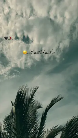 گئیں کسی کے لائق نہیں۔❤️‍🩹🙌🏻🥀.                   #fouryou #1milionaudition #urduwrites #urdupoetry #viralvideo #foryourpage #fyppppppppppppppppppppppp 