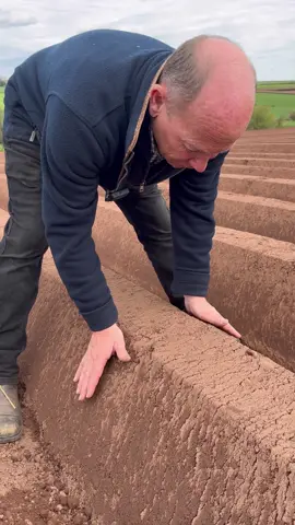 We have been busy planting, hoping for a good stretch of weather so we can finish getting all those seed potatoes in the ground. Come and take a look at how we get them planted 🥔🚜. #planting #potatoes