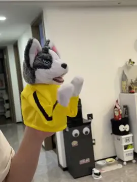 So fun, boxing huskies is so cool#COOL #toy #toys #tiktok