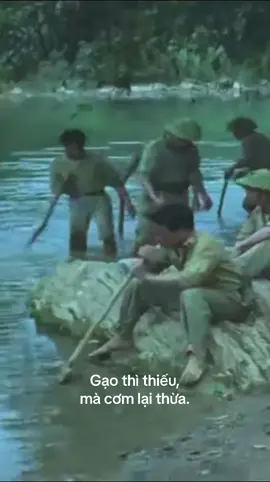 70 năm chiến thắng Điện Biên Phủ Phim: Hoa Ban Đỏ (1994) #dienbienphu #phimhay #vietnam 