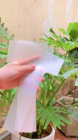 Làm thế nào để cốc không bị rớt khi dùng túi chữ T??? Xem hết video để tránh mất xiền oan nhé các bạn