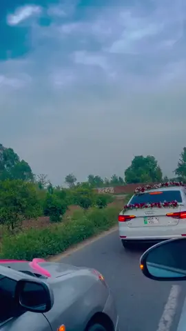 #barat #bhawalpur #newsong #viralvideo🔥 #capcut #tranding #viralvideoplese💓💓💓💓💓💓💓💓 #copyrightfree #fypシ゚viral #fypシ゚viral 🖤🖤🖤🖤💗💗💗❤️❤️❤️❤️❤️🤓🤓🤓🤓😘😘😘😘❤️❤️❤️💗💗💗💗💗❤️🖤🖤🖤❤️🥰🥰❤️❤️❤️🖤🖤💗💗💖💖💖💖💜💜💜💜💜💜