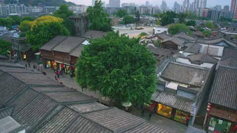 #AmazingChina: The City of the Banyan Tree 榕树的城市