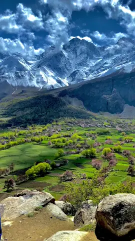 Beautiful Chunda valley nowadays♥️📍 You can join us on our every week trips to different destinations in Pakistan. 3 days trip to Swat kalam & Malamjaba 3 Days trip to Neelum valley Kashmir 5 days trip to Hunza - China boarder & Nalter valley 5 Days trip to Fairy Meadows & Nanga parbat base camp 7 dsys trip to skardu - Basho vally & Deosai 8 Days trip to Hunza - China boarder - Skardu and Basho valley For details contact on whatsapp Number mentioned in profile. #pahardii #ghoomopakistan🇵🇰 #foryoupage #unfrezzmyaccount #unfreezemyacount #ghoomopakistan🇵🇰 #viralreels #viralreels 