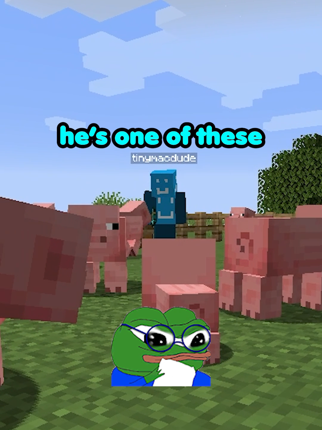 I did a SPECIAL trick on him #Minecraft #minecraftfunnymoments #minecraftmemes #cheappickle