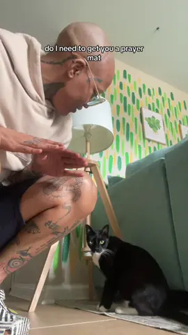 #stitch with @Demetrius fields ordering him a prayer mat as we speak #fyp #catmom #tuxedocat #muslim 