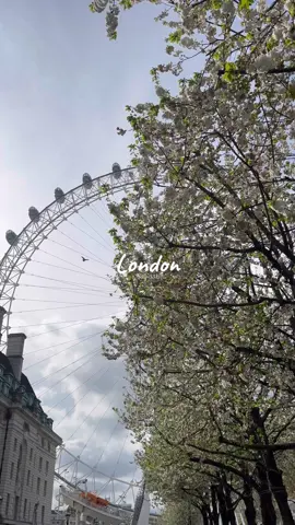 ماحس فيه مدينة تنافس جمال لندن 🥹❤️‍🩹#fyp #london 