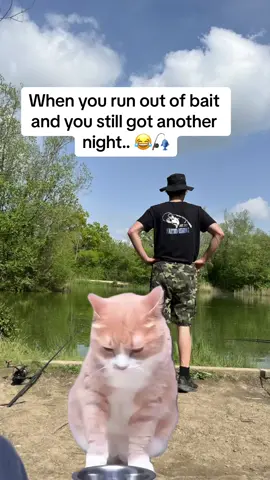 Anyone else had this feeling?.. 😂 #fyp #foryou #foryoupage #fishing #fishinglife #fishtok #angler #carpfishing #nayzofishing #capcut #memecut #meme #viral 