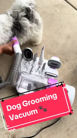 Grooming our Shihtzu’s was a breeze! More videos coming soon of their haircuts and showing how to deshed our bigger babies! #sponsored #review #fyp #dog #dogsoftikok #grooming #groomingvacuum #newbiegroomer 