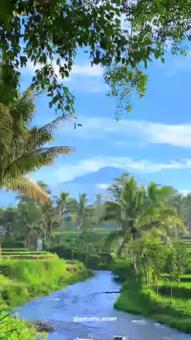 Ternyata lukisan waktu SD dulu, pemandangan gunung & sawah yang indah itu beneran ada lho. Lokasinya berada di wilayah pringgasela lombok timur.  #lombok #nature #alam #sawah #gunung 