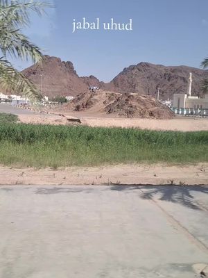 gunung yang akan berada di surga... melihat mu di dunia semoga bisa melihat mu lagi di surga ya jabal uhud #jabaluhud #gununguhud #madinah #madinahalmunawaroh #peranguhud #sirahnabi 