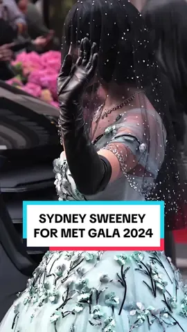 She understood the assignment ! so happy I filmed her ! #sydneysweeney #sydneysweeneyedit #metgala #cinematic #fx30 